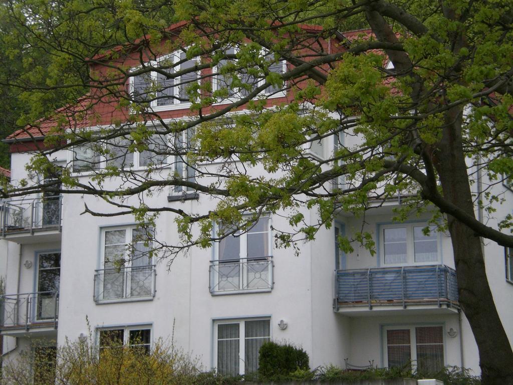 Ferienwohnung In Sassnitz Ruegen Naehe Weltnaturerbe Kreidekueste Zewnętrze zdjęcie