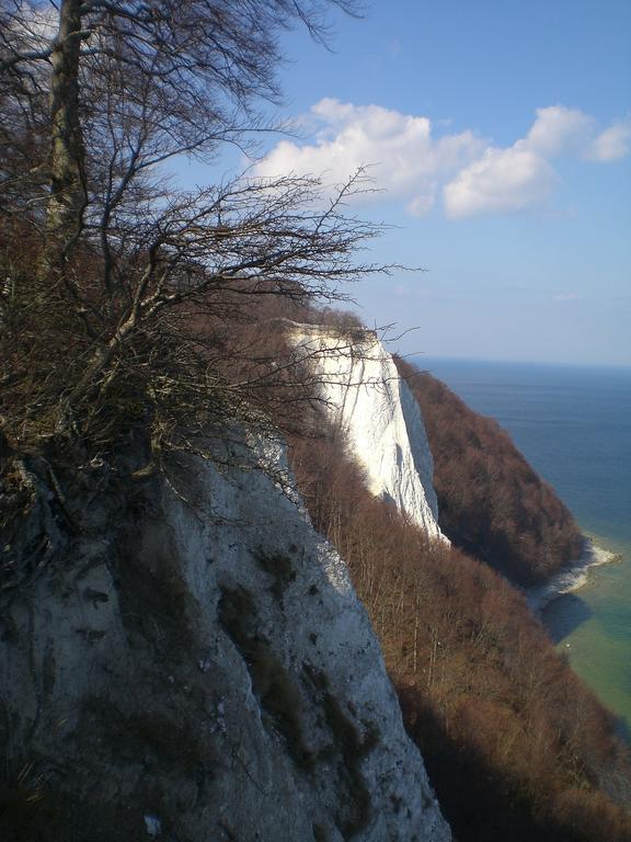 Ferienwohnung In Sassnitz Ruegen Naehe Weltnaturerbe Kreidekueste Zewnętrze zdjęcie