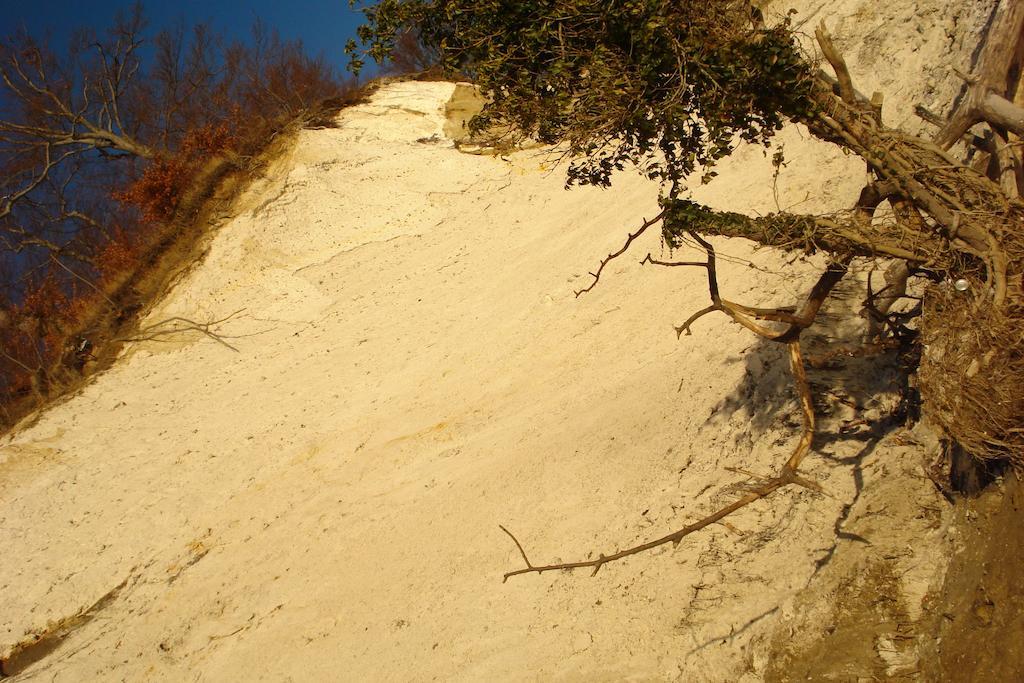 Ferienwohnung In Sassnitz Ruegen Naehe Weltnaturerbe Kreidekueste Zewnętrze zdjęcie