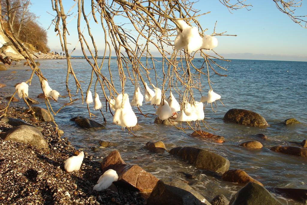 Ferienwohnung In Sassnitz Ruegen Naehe Weltnaturerbe Kreidekueste Zewnętrze zdjęcie