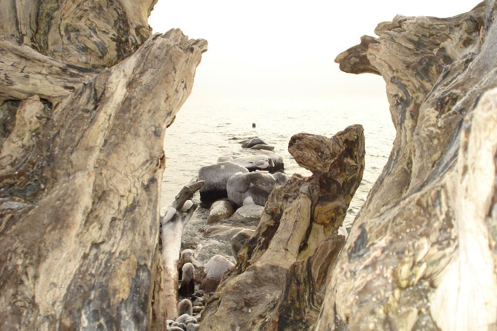 Ferienwohnung In Sassnitz Ruegen Naehe Weltnaturerbe Kreidekueste Zewnętrze zdjęcie