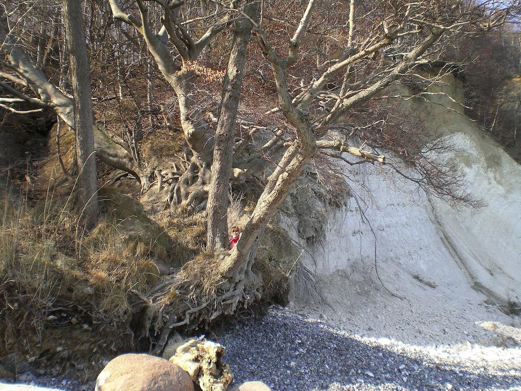 Ferienwohnung In Sassnitz Ruegen Naehe Weltnaturerbe Kreidekueste Zewnętrze zdjęcie
