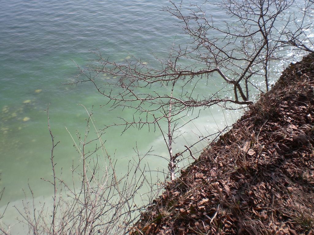 Ferienwohnung In Sassnitz Ruegen Naehe Weltnaturerbe Kreidekueste Zewnętrze zdjęcie