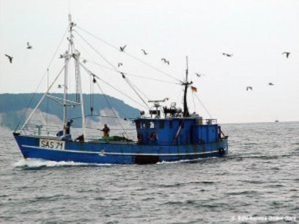 Ferienwohnung In Sassnitz Ruegen Naehe Weltnaturerbe Kreidekueste Zewnętrze zdjęcie
